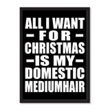 All I Want For Christmas Is My Domestic Mediumhair - Portrait Frame Photo Tile