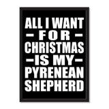 All I Want For Christmas Is My Pyrenean Shepherd - Portrait Frame Photo Tile