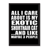 All I Care About Is My Exotic Shorthair Cat And Like Maybe 3 People - Portrait Frame Photo Tile