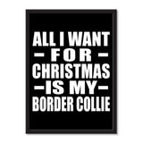 All I Want For Christmas Is My Border Collie - Portrait Frame Photo Tile