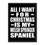 All I Want For Christmas Is My Welsh Springer Spaniel - Portrait Frame Photo Tile