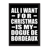 All I Want For Christmas Is My Dogue De Bordeaux - Portrait Frame Photo Tile