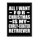 All I Want For Christmas Is My Curly-Coated Retriever - Portrait Frame Photo Tile