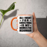 All I Want For Christmas Is My Domestic Mediumhair - 11oz Accent Mug Orange