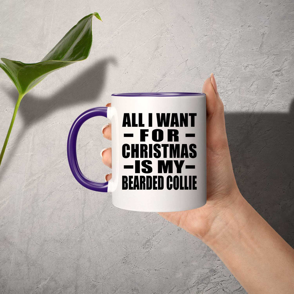 All I Want For Christmas Is My Bearded Collie - 11oz Accent Mug Purple