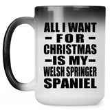 All I Want For Christmas Is My Welsh Springer Spaniel - 15 Oz Color Changing Mug