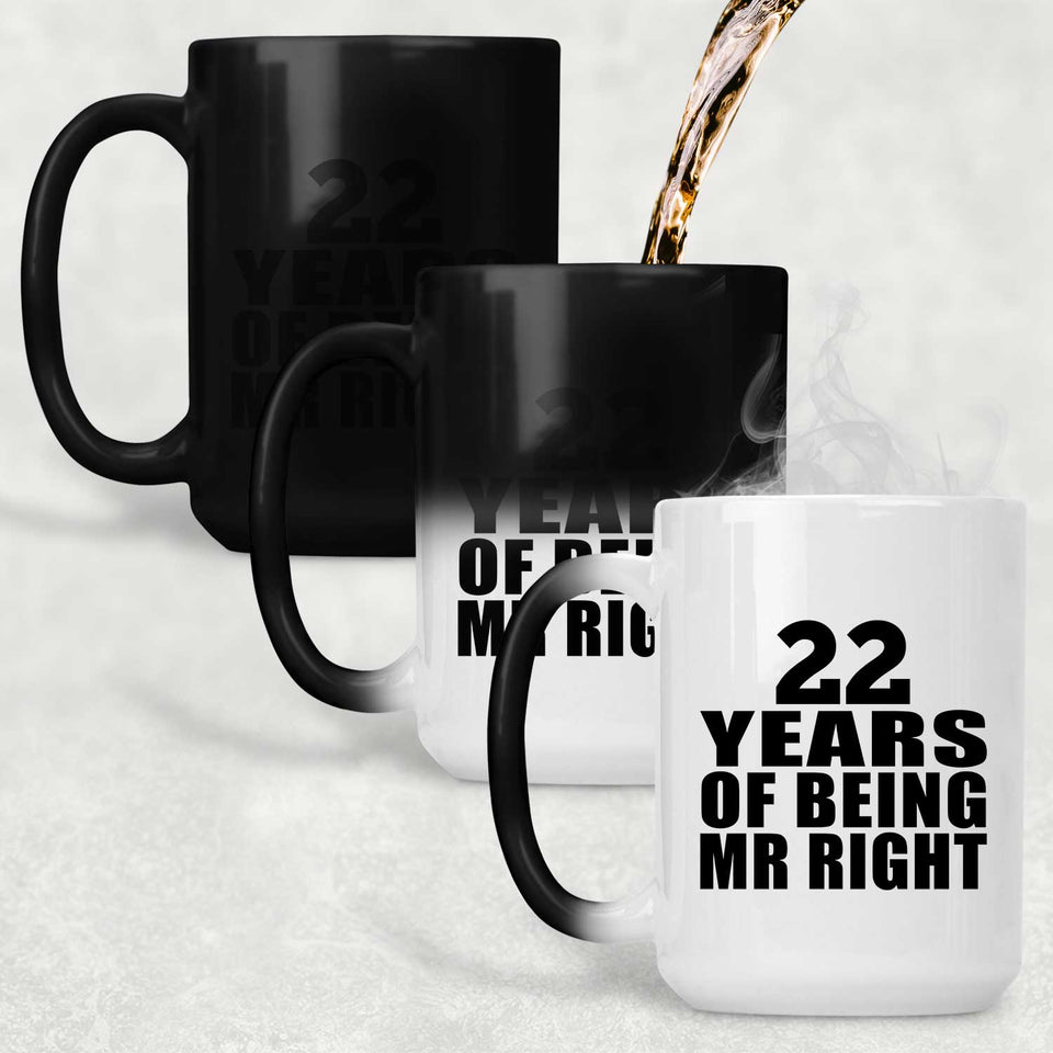 22nd Anniversary 22 Years Of Being Mr Right - 15 Oz Color Changing Mug
