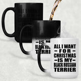 All I Want For Christmas Is My Black Russian Terrier - 15 Oz Color Changing Mug
