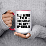 All I Want For Christmas Is My Puli - 15oz Accent Mug Red