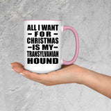 All I Want For Christmas Is My Transylvanian Hound - 15oz Accent Mug Pink