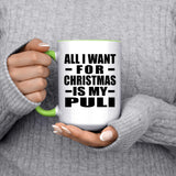 All I Want For Christmas Is My Puli - 15oz Accent Mug Green