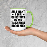 All I Want For Christmas Is My Transylvanian Hound - 15oz Accent Mug Green