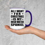 All I Want For Christmas Is My Irish Water Spaniel - 15oz Accent Mug Purple