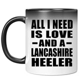 All I Need Is Love And A Lancashire Heeler - 11 Oz Color Changing Mug