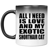 All I Need Is Love And My Exotic Shorthair Cat - 11 Oz Color Changing Mug
