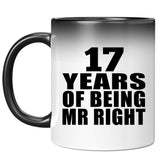 17th Anniversary 17 Years Of Being Mr Right - 11 Oz Color Changing Mug