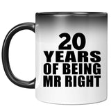 20th Anniversary 20 Years Of Being Mr Right - 11 Oz Color Changing Mug