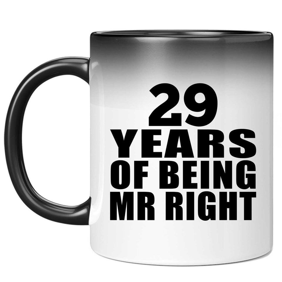 29th Anniversary 29 Years Of Being Mr Right - 11 Oz Color Changing Mug