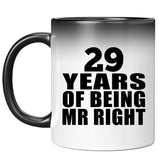 29th Anniversary 29 Years Of Being Mr Right - 11 Oz Color Changing Mug