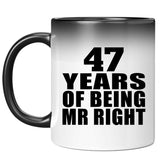 47th Anniversary 47 Years Of Being Mr Right - 11 Oz Color Changing Mug