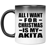 All I Want For Christmas Is My Akita - 11 Oz Color Changing Mug