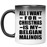 All I Want For Christmas Is My Belgian Malinois - 11 Oz Color Changing Mug
