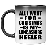 All I Want For Christmas Is My Lancashire Heeler - 11 Oz Color Changing Mug