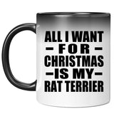 All I Want For Christmas Is My Rat Terrier - 11 Oz Color Changing Mug