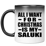 All I Want For Christmas Is My Saluki - 11 Oz Color Changing Mug