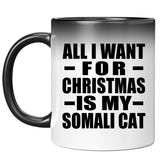 All I Want For Christmas Is My Somali Cat - 11 Oz Color Changing Mug