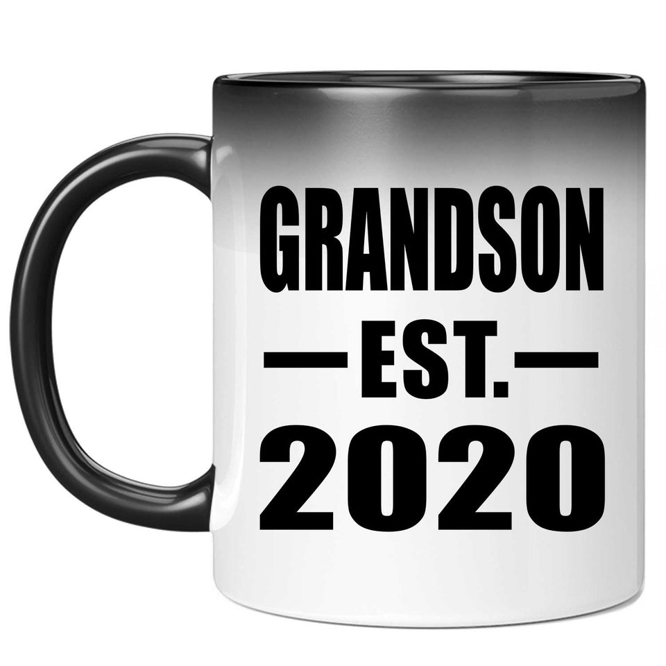 Grandson Established EST. 2020 - 11oz Color Changing Mug