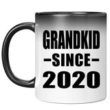 Grandkid Since 2020 - 11oz Color Changing Mug