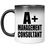 A+ Management Consultant - 11oz Color Changing Mug
