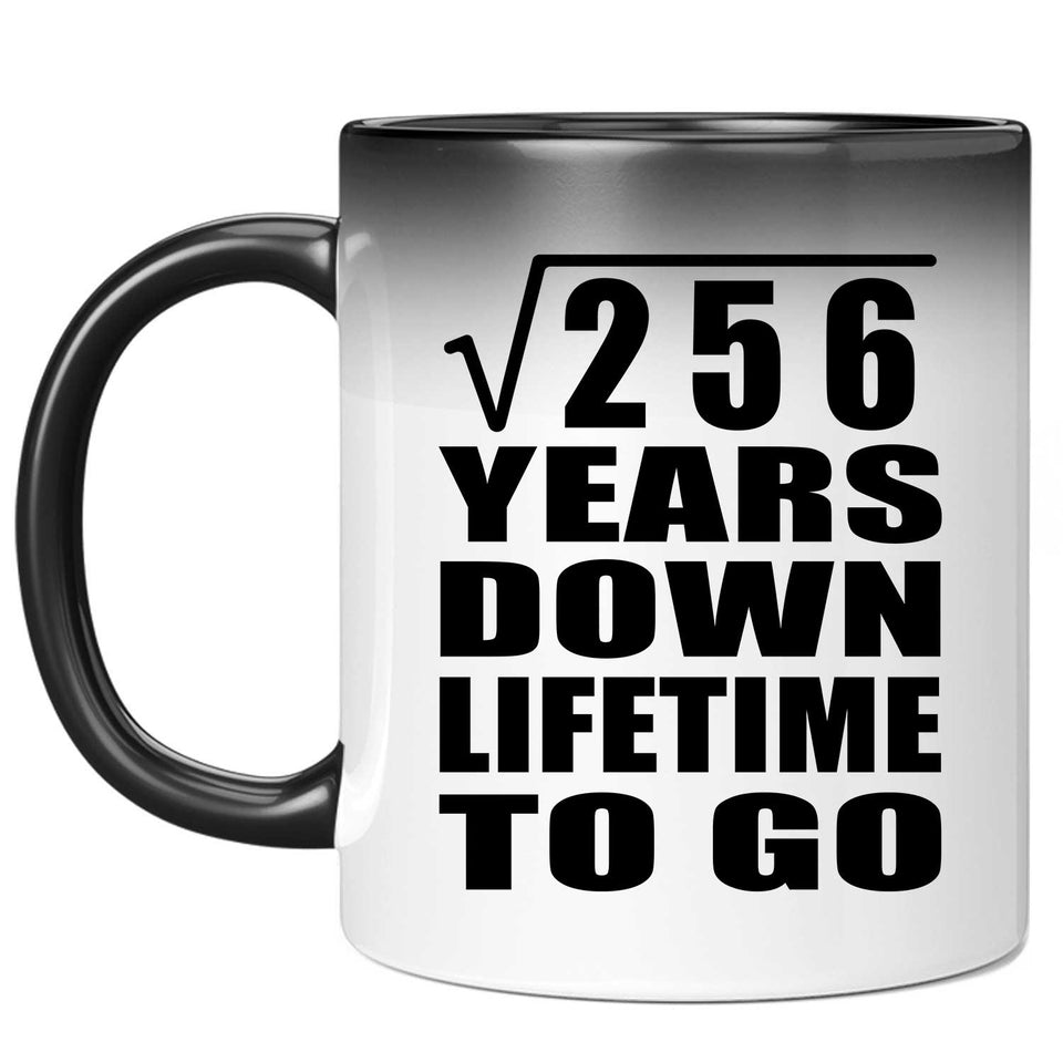 16th Anniversary Square Root of 256 Years Lifetime To Go - 11oz Color Changing Mug
