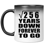 16th Anniversary Square Root of 256 Years Down Forever To Go - 11oz Color Changing Mug
