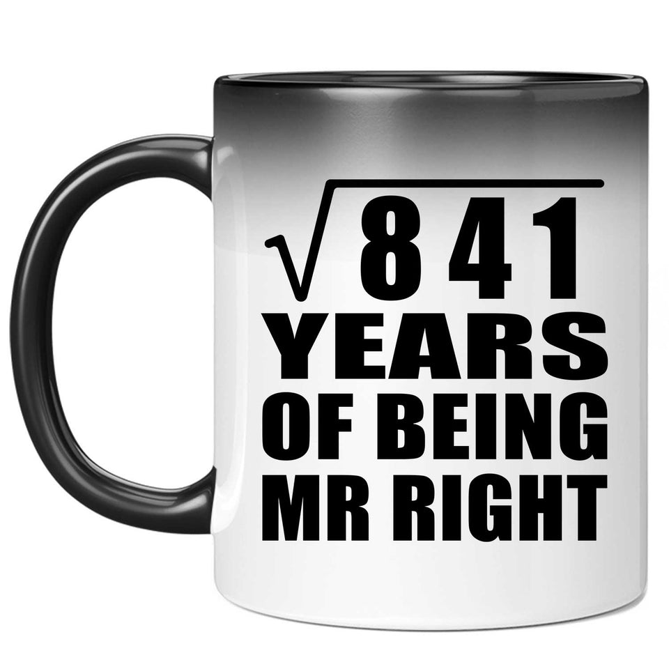 29th Anniversary Square Root of 841 Years of Being Mr Right - 11oz Color Changing Mug