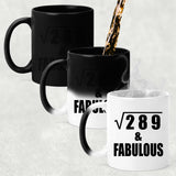 17th Birthday Square Root of 289 & Fabulous - 11oz Color Changing Mug