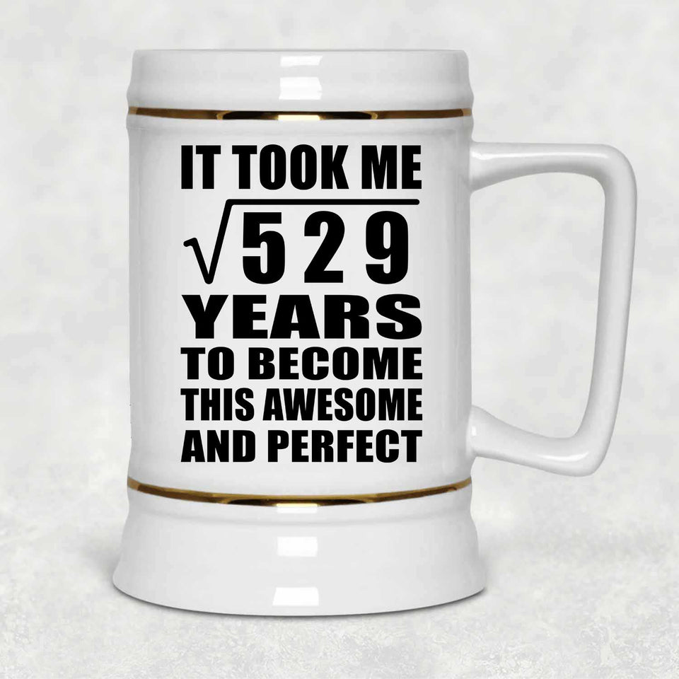 23rd Birthday Took Square Root of 529 Years To Awesome - Beer Stein
