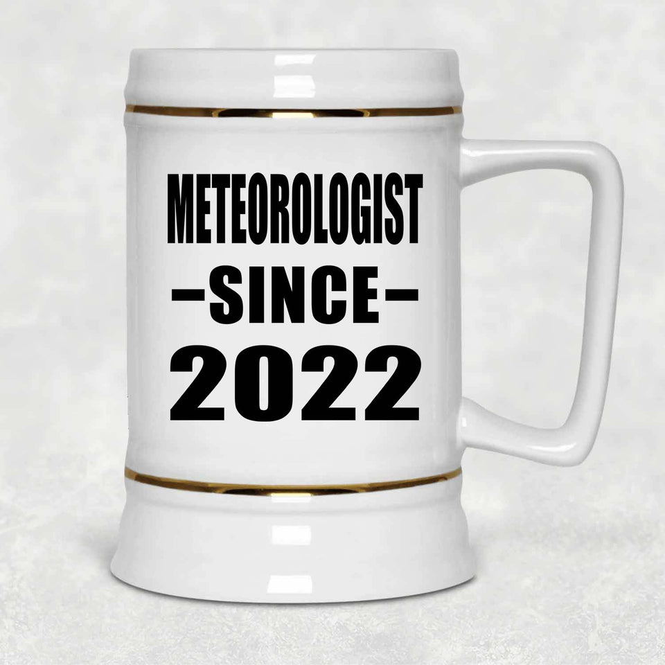 Meteorologist Since 2022 - Beer Stein