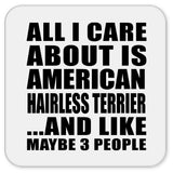 All I Care About Is American Hairless Terrier - Drink Coaster