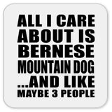 All I Care About Is Bernese Mountain Dog - Drink Coaster