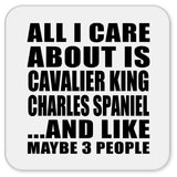 All I Care About Is Cavalier King Charles Spaniel - Drink Coaster