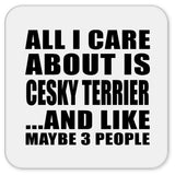 All I Care About Is Cesky Terrier - Drink Coaster