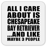 All I Care About Is Chesapeake Bay Retriever - Drink Coaster
