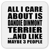 All I Care About Is Dandie Dinmont Terrier - Drink Coaster
