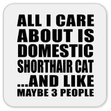 All I Care About Is Domestic Shorthair Cat - Drink Coaster