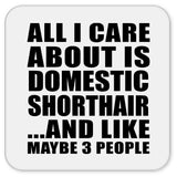 All I Care About Is Domestic Shorthair - Drink Coaster