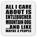 All I Care About Is Entlebucher Mountain Dog - Drink Coaster