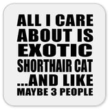 All I Care About Is Exotic Shorthair Cat - Drink Coaster