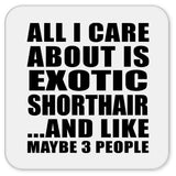 All I Care About Is Exotic Shorthair - Drink Coaster